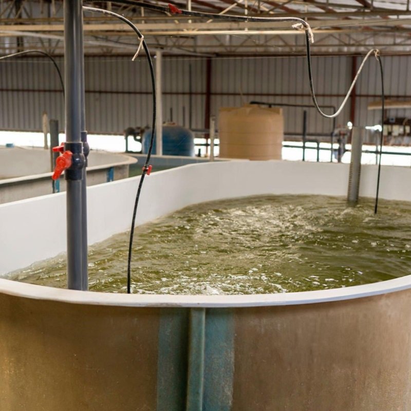 FRP Electroplating Tank Manufacturer
